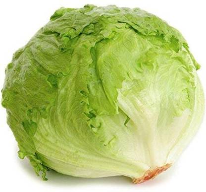 Aywal Lettuce Iceberg Vegetable Seed