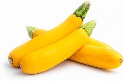 CYBEXIS ATS-84 - Golden Zucchini Summer Squash - (675 Seeds) Seed