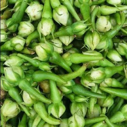 VibeX ® XXL-45 Clove Beans Seeds Seed