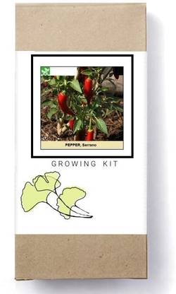 Biosnyg Serrano Chilli Pepper-[250 Seeds] Seed