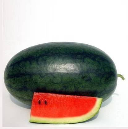 EMKOT Red Watermelon seeds for Super Sweet Big Seed