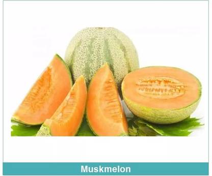 MRCY Muskmelon Sweet Melon Seed
