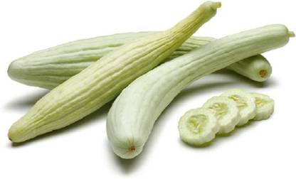 VibeX VXI-19 - Cucumber Armenian Yard Long Snake Melon Rare - (1350 Seeds) Seed