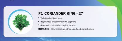 VibeX F1 CORIANDER KING - 27(500 Seeds) Seed