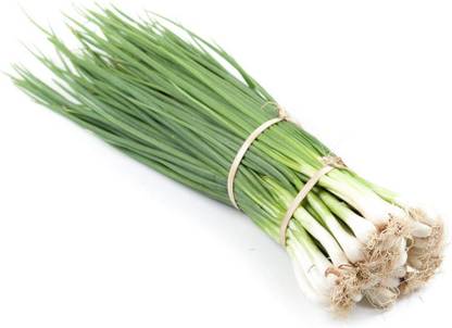 Qualtivate PUA-1A Evergreen Bunching Nebuka Onion Seeds Seed