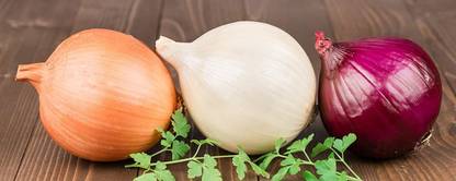 CYBEXIS VVI-4 - Onion Rainbow Mix Neutral - (4500 Seeds) Seed