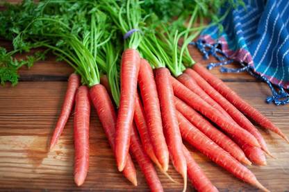 KANAYA Carrot Hybrid Vegetable Seed