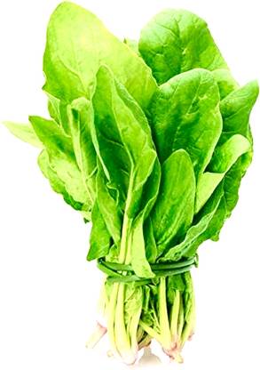 Anusha Creation Palong Seed, Palak, Spinach Seed