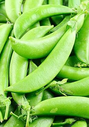 Qualtivate XXX-3A Pea Seed, Sugar Snap Pea Seed