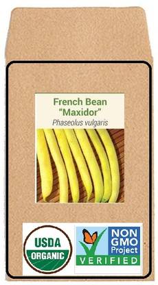 KNESSiN French Bean Maxidor Seed