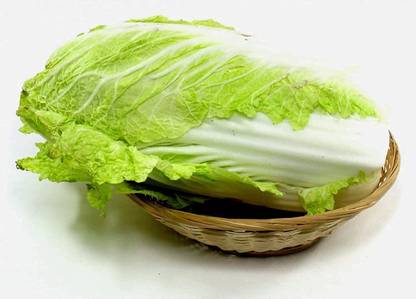 WILLVINE PAU -I Chineses Cabbage Napa Lettuce [2.5g] Seed