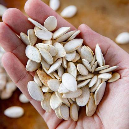 Biswas Bloom Pumpkin Seeds, Pumpkin Seed