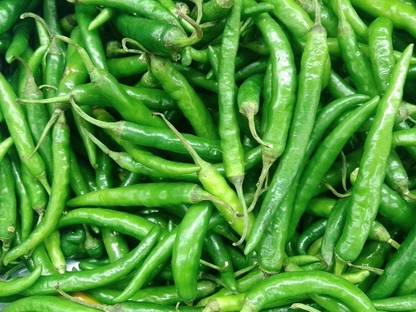 Aywal Chilli seeds Cayenne Hot Pepper Chilli Seed