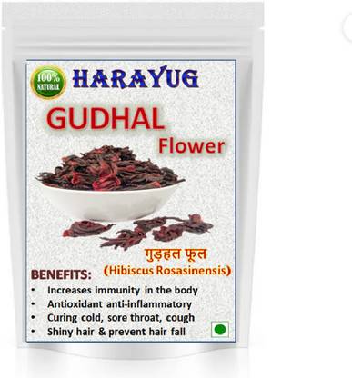 HARAYUG GUDHAL PHOOL - HIBISCUS FLOWER - GUDHAL FLOWER - HIBISCUS ROSA - SINENSIS Seed