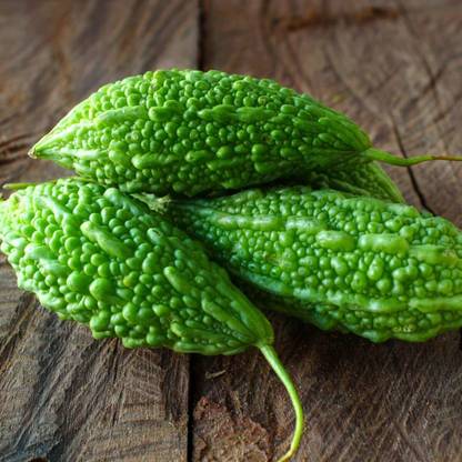 CYBEXIS NDIR-34 - Bitter Gourd Hybrid Luca | Karela Ke Beej - (900 Seeds) Seed