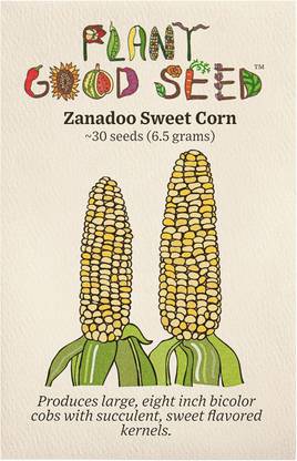 Qualtivate XXX-8A Zanadoo Sweet Corn Seeds Seed