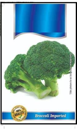CYBEXIS KGF -3 - Gypsy Broccoli - (1350 Seeds) Seed