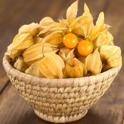 CEZIUS Plant Seeds For Garden Cape Gooseberry- Golden Nugget Seed