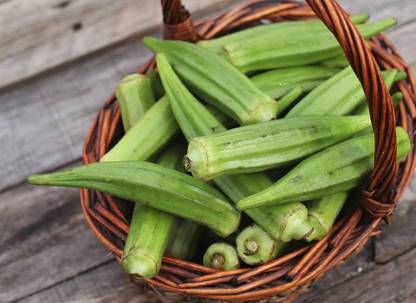 ibains Bhindi seeds in july Seed