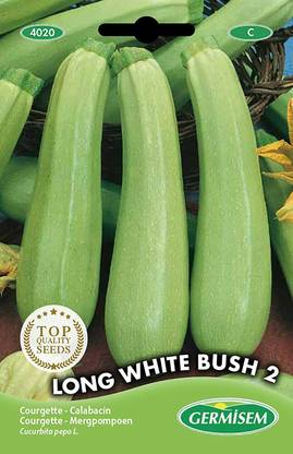 CYBEXIS Long White Bush Courgette Zucchini Seeds100 Seeds Seed