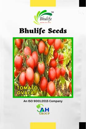 BhuLife Tomato Seeds, Ovala Seed