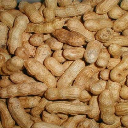 naturehils Penut Vegetable Seed, Mungfali Seed. Badam Organic Seed