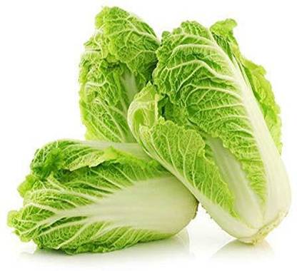 KNESSiN Organic Desi Chinese Cabbage Seeds Seed