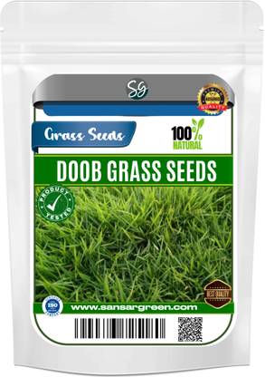 Sansar Green Doob Grass Seed