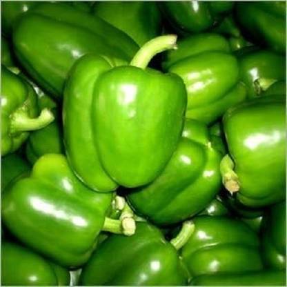 VibeX NBIR-42 - Green Capsicum Vegetable - (150 Seeds) Seed