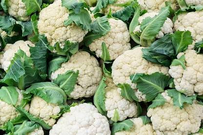Aywal Cauliflower big head Seed