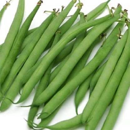 Aywal F1 Hybrid Beans Dwarf French Seed