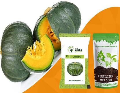 NATURAL AND HERBAL PRODUCTS Green Pumpkin Seeds Hybrid | Large Melon | Kaddu | Planting | Terrace | Home Seed