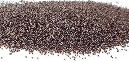 MAA Mint, Pudina, Mentha Seed