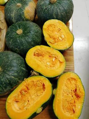 CYBEXIS NBIR-42 - Maxima Pumpkin Premium Hybrid Quality - (900 Seeds) Seed