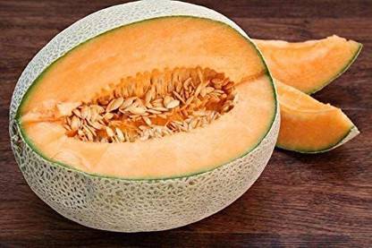 VibeX KGF -54 - Jumbo Cantaloupe/Muskmelon Melon - (150 Seeds) Seed