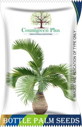 Countgreen Plus Bottle Palm Tree Seeds Seed