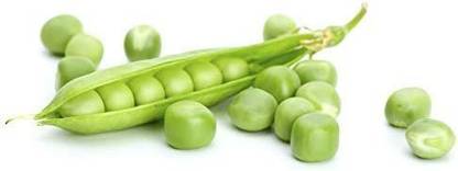VibeX KGF -3 - Early Frosty Pea - (100 Seeds) Seed