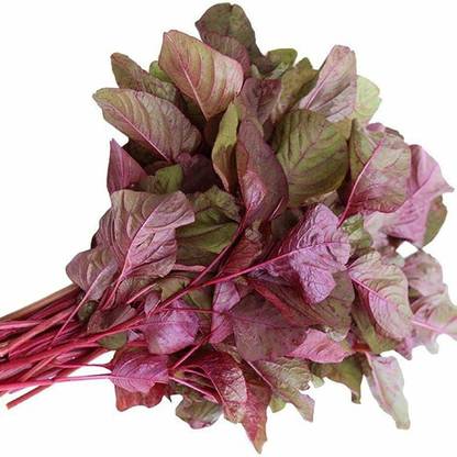 SREE Lal Saag/ Red Spinach, Red Amaranthus Seed Seed
