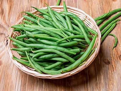 wequality pea seeds/beans seeds 23 Seed