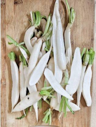 Avysa White Icicle Radish Seed