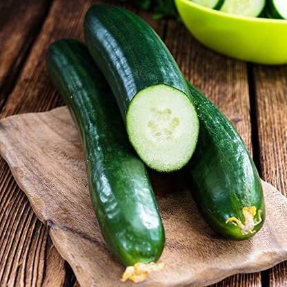 CYBEXIS XLL-18 - English Cucumber European - (450 Seeds) Seed