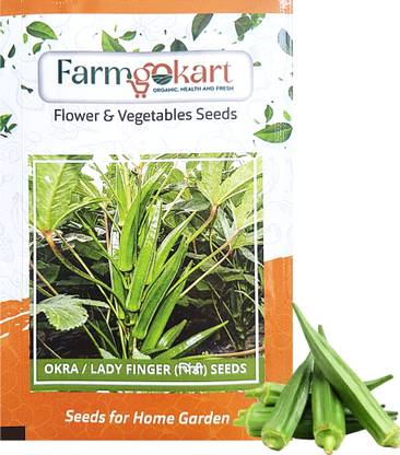farmgokart |10 Gms OKRA (BHINDI) SEEDS |for Home Gardening, Farming and Hydroponics | Seed
