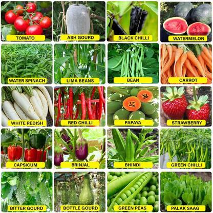 abiswas Vegetable Seeds Combo Pack of 20 Varities 3000+ Seed