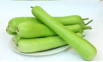 Qualtivate GXL-6AT Hydroponics Long Bottle Gourd लोकि बीज Seed