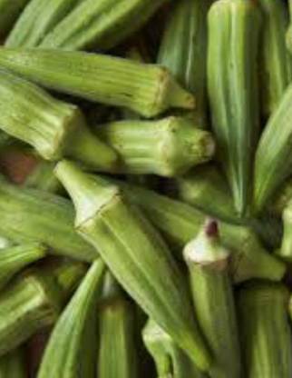 greenfarm NCX-Long Okra seeds/Bhindi Seeds, Best Quality , 170 X Seeds , fff49 Seed