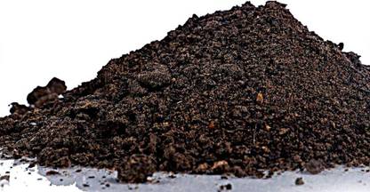 poweder Mahua Oil Cake Powder Seed