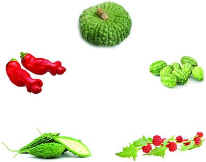 DIOART ® VXI-204-Crazy Veg Growing Kit Seed