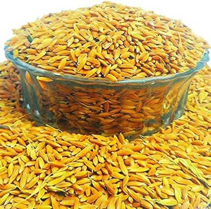 STOKIYA PUSA BASMATI - Sugandha 5 Dhan VARIETY PADDY / RICE 7 KG SEEDS Seed