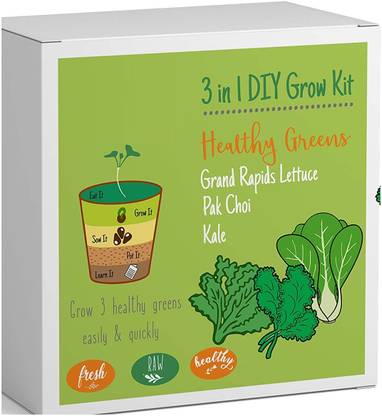 VibeX Kale, Pak Choi, Grand Rapids Lettuce Seed
