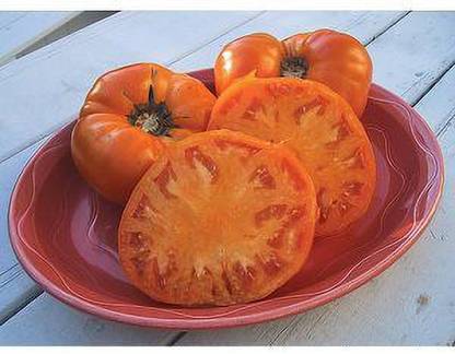 Jevik Berkeley-Tie-Dye-Tomato Seed
